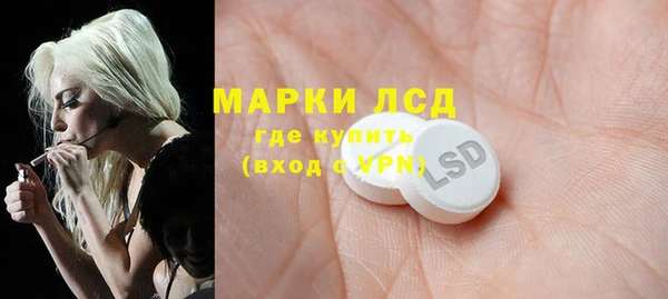 прущие грибы Приозерск