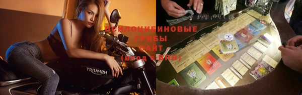 хмурый Абаза