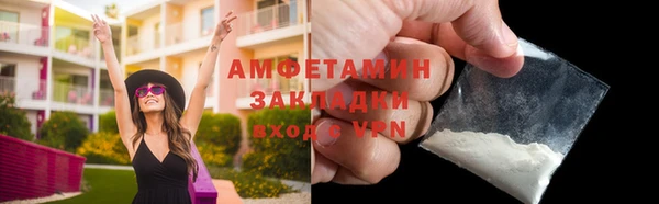 прущие грибы Приозерск