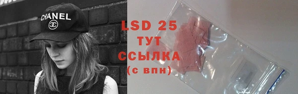 хмурый Абаза