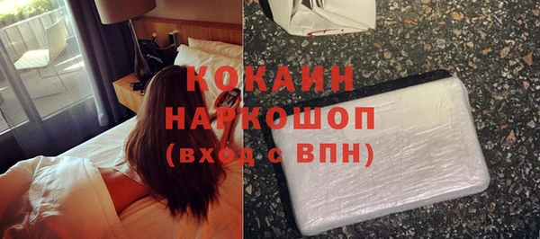 хмурый Абаза