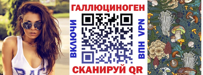 OMG рабочий сайт  Гусиноозёрск  Галлюциногенные грибы MAGIC MUSHROOMS 