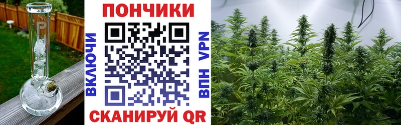 Конопля семена  Гусиноозёрск 